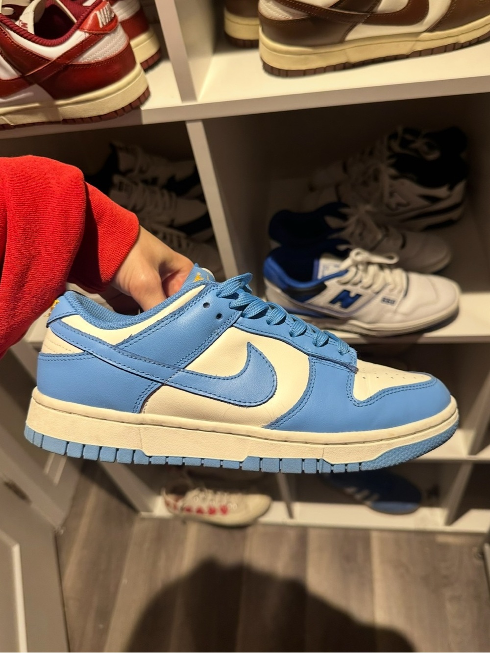 Nike Dunk Light Blue (coast)